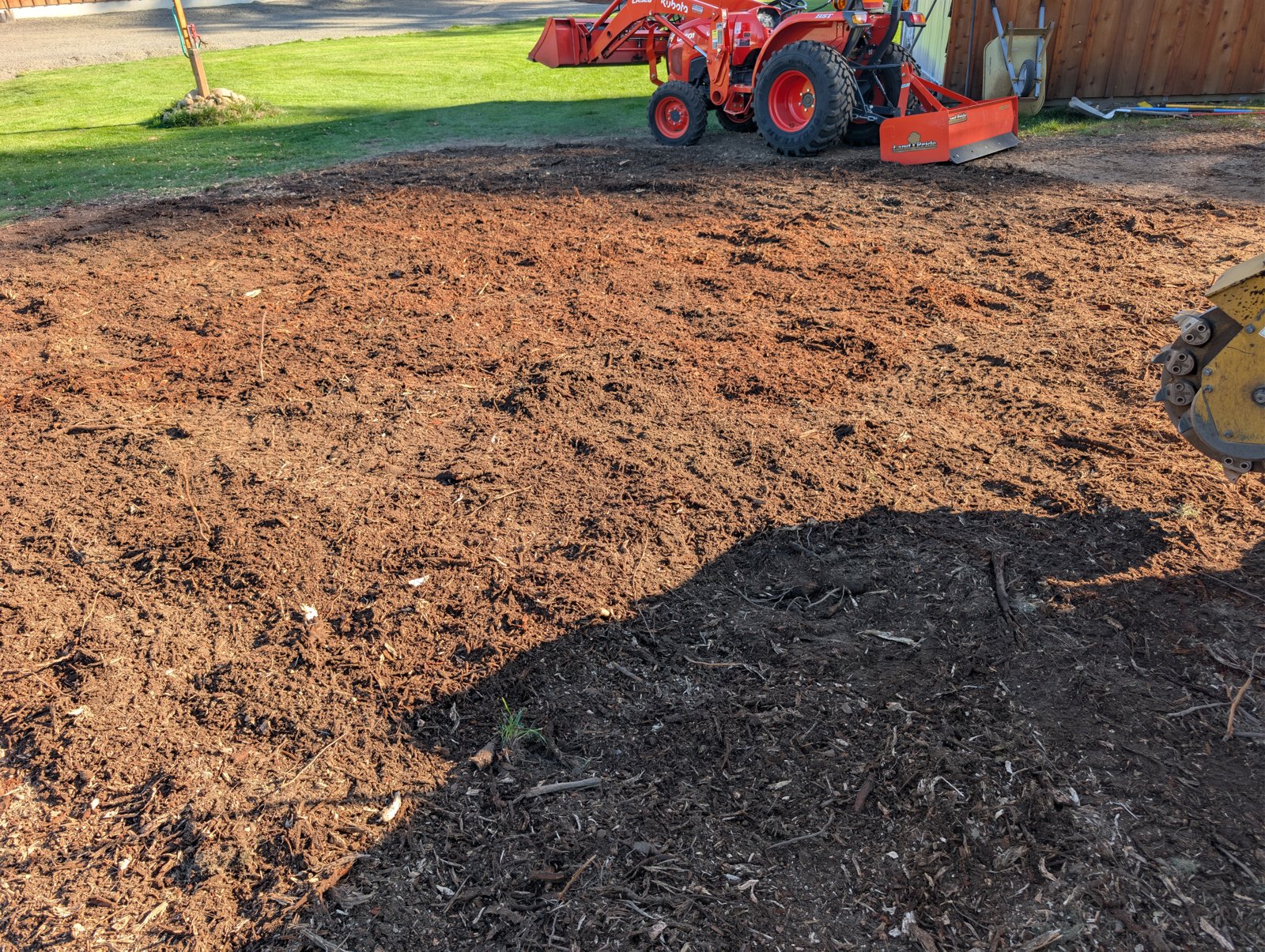 Same spot after stump grinding, ground level